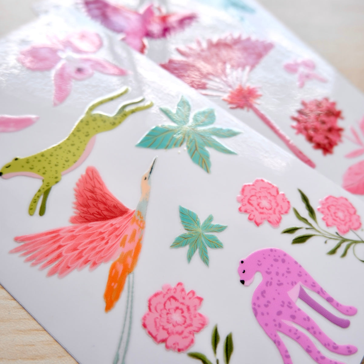#diseño_fauna y flora