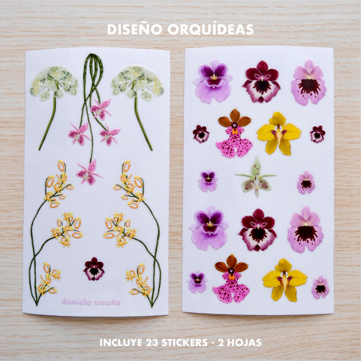 #diseño_orquídeas