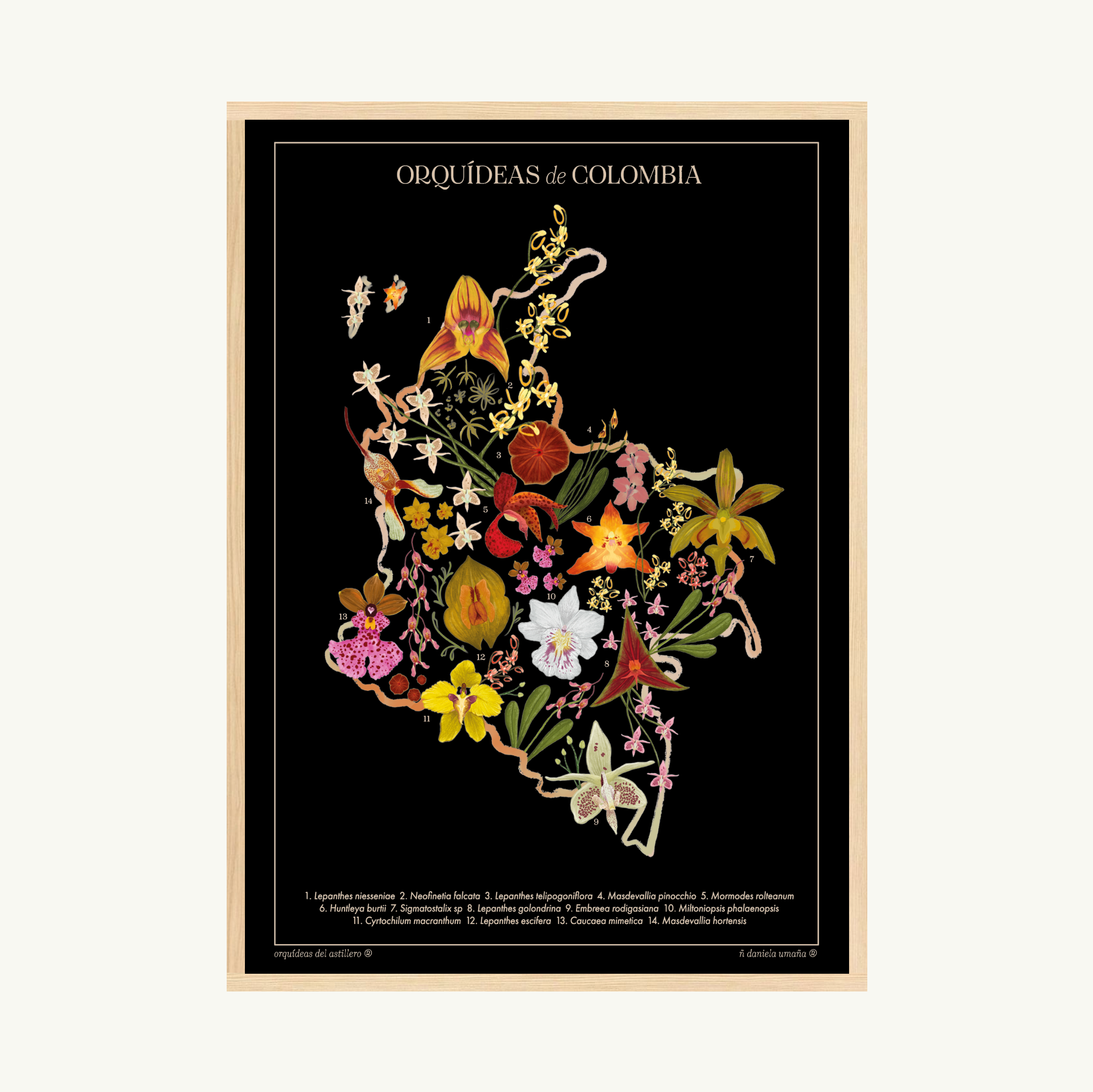 Afiche Mapa Orquídeas de Colombia