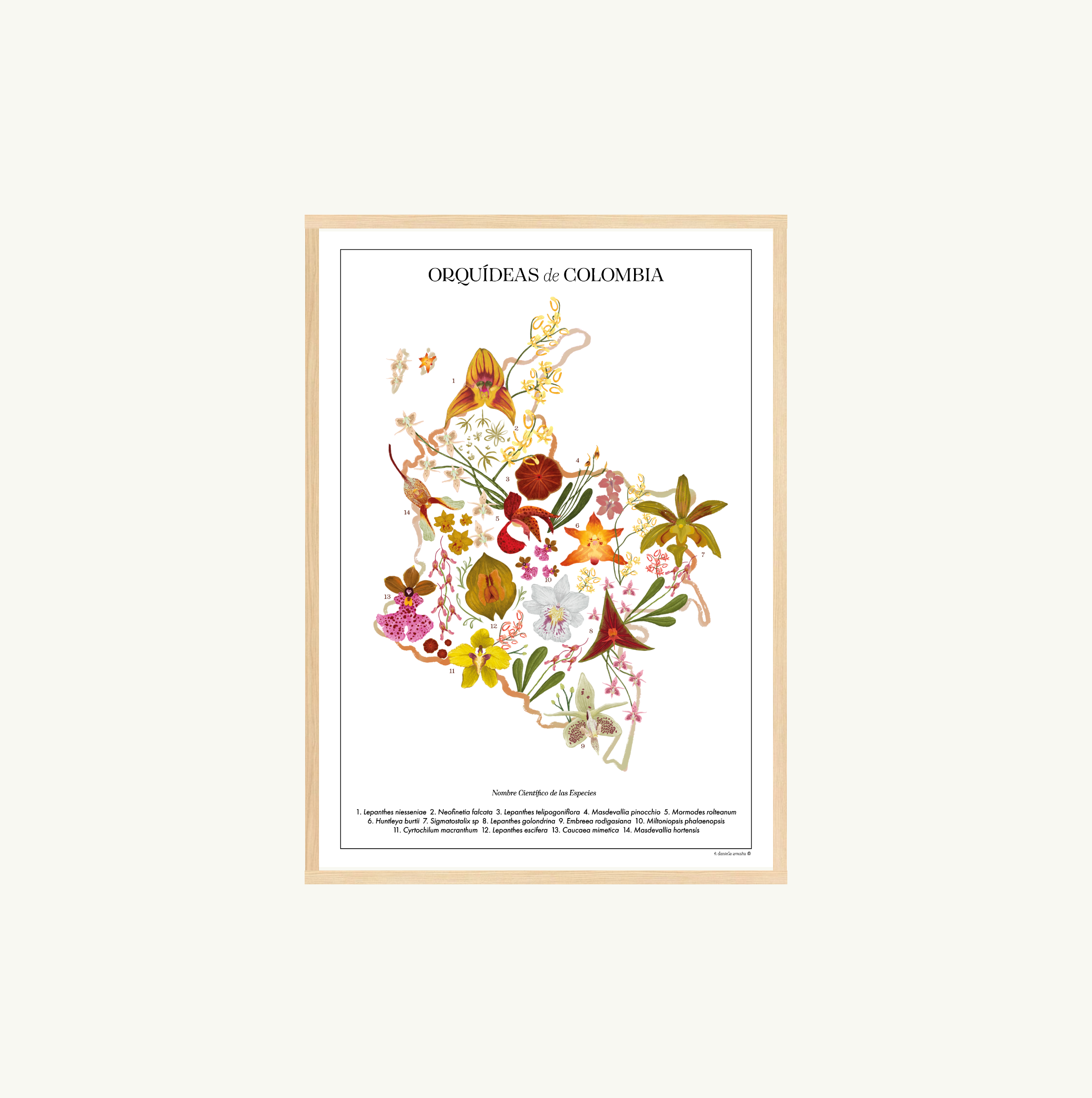 Afiche Mapa Orquídeas de Colombia