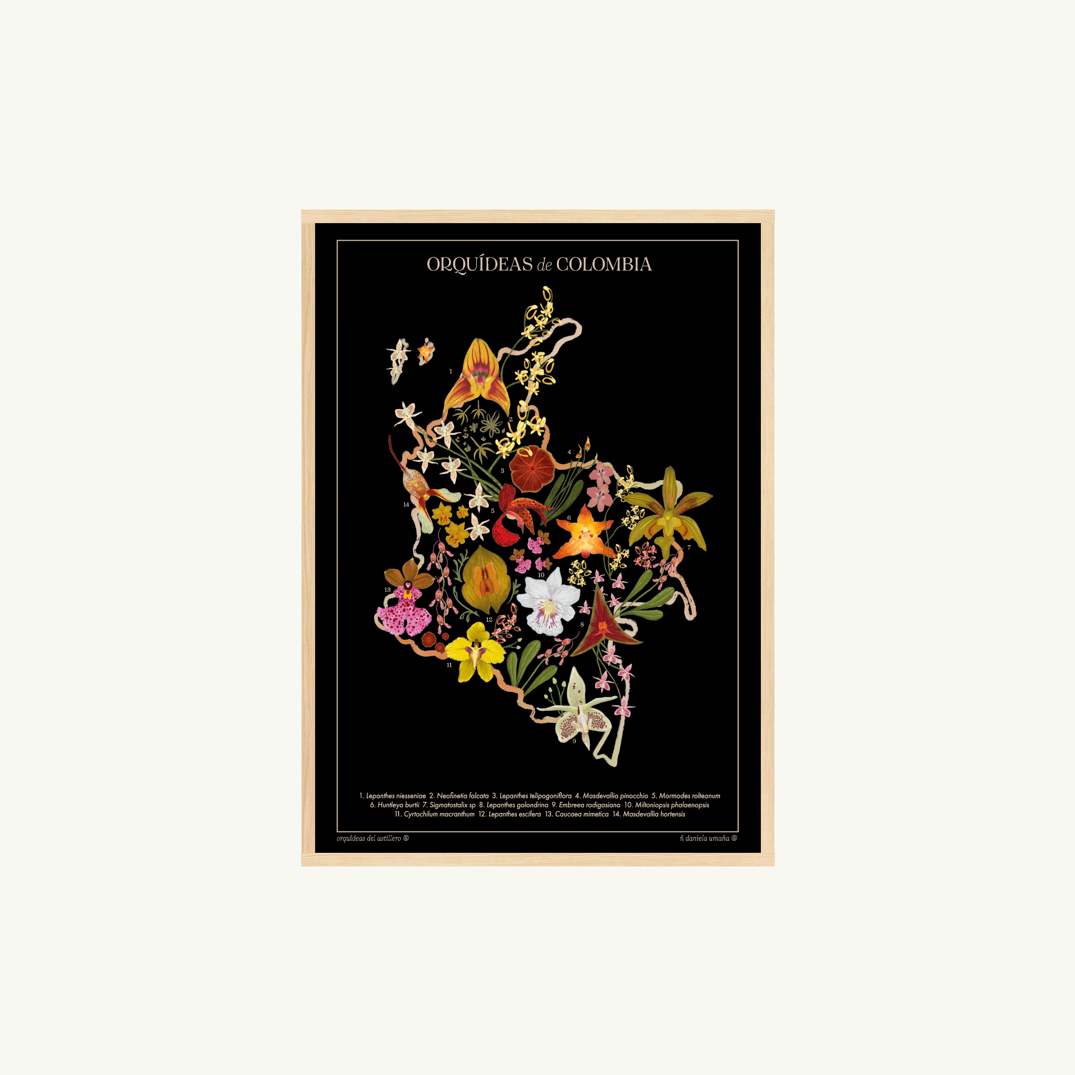 Afiche Mapa Orquídeas de Colombia