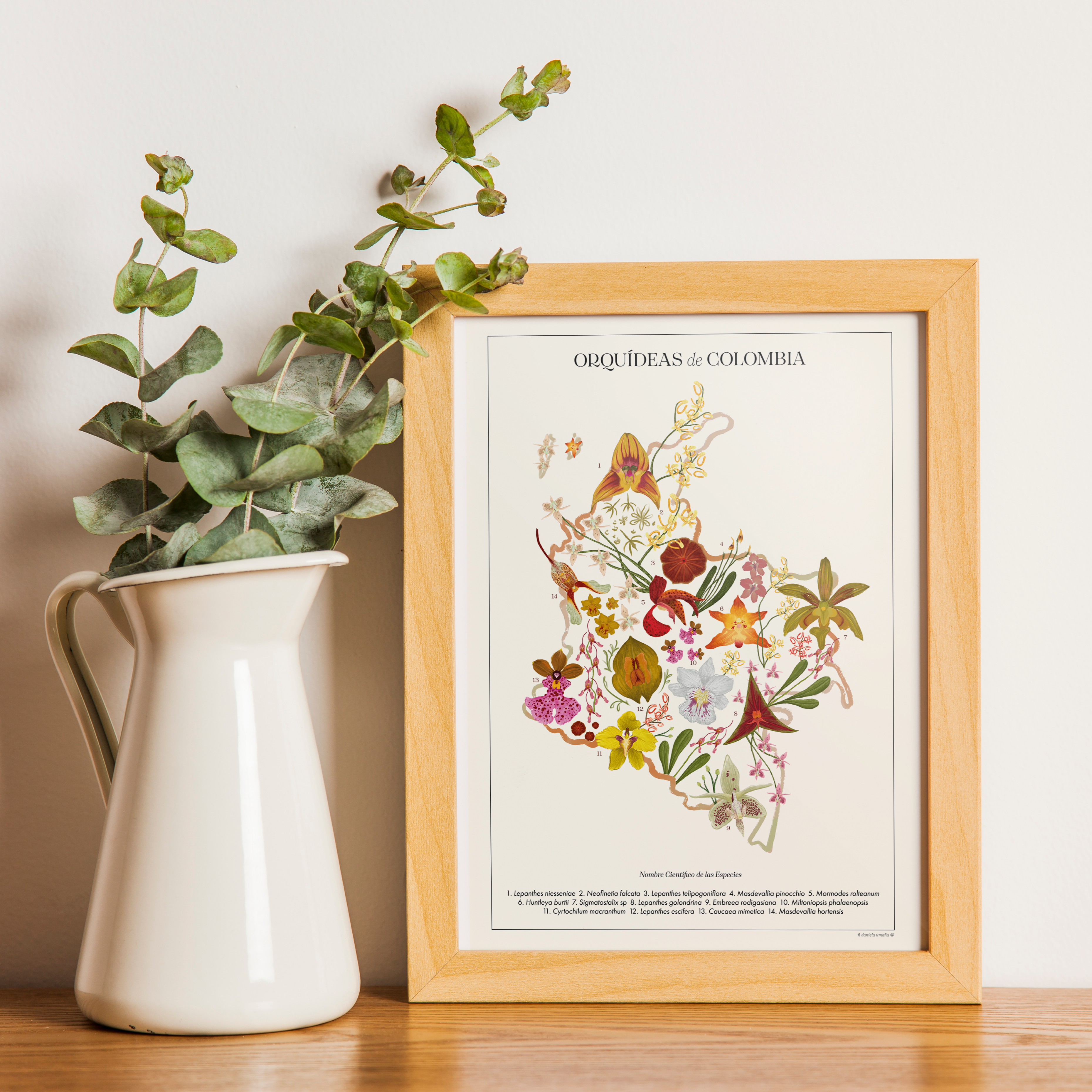 Afiche Mapa Orquídeas de Colombia