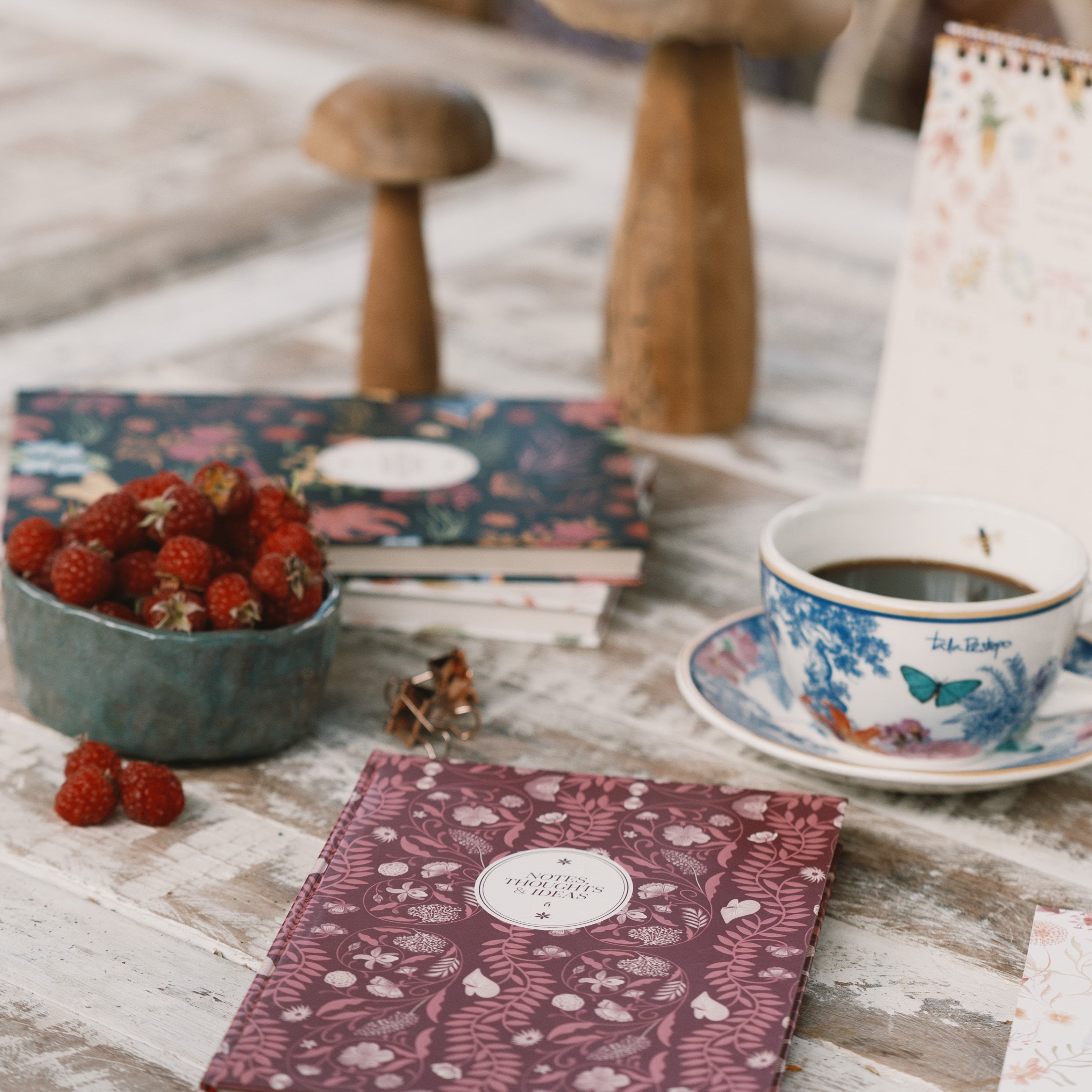 Pack de 3 Journals Jardín