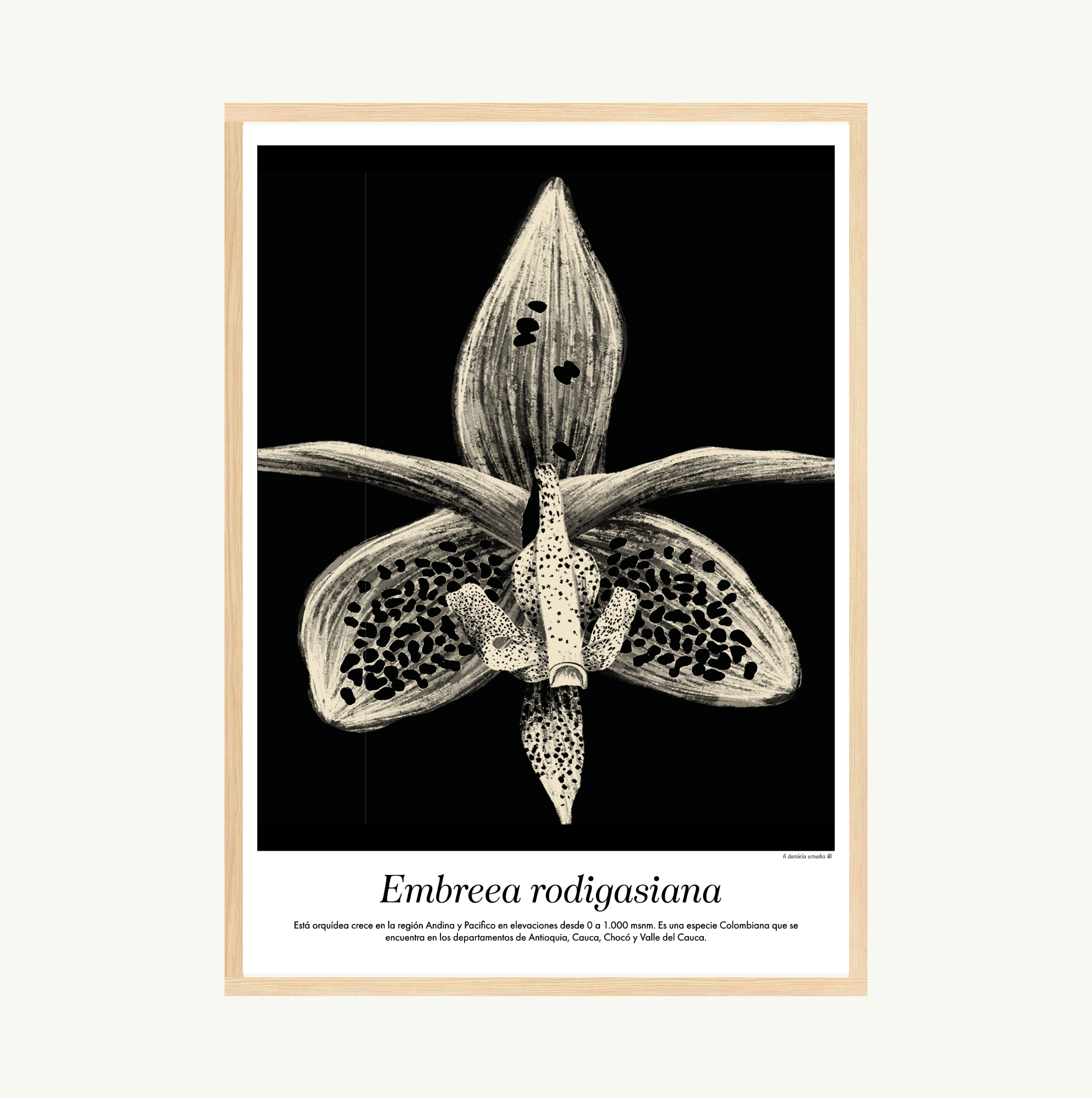 Afiche Embreea Rodigasina