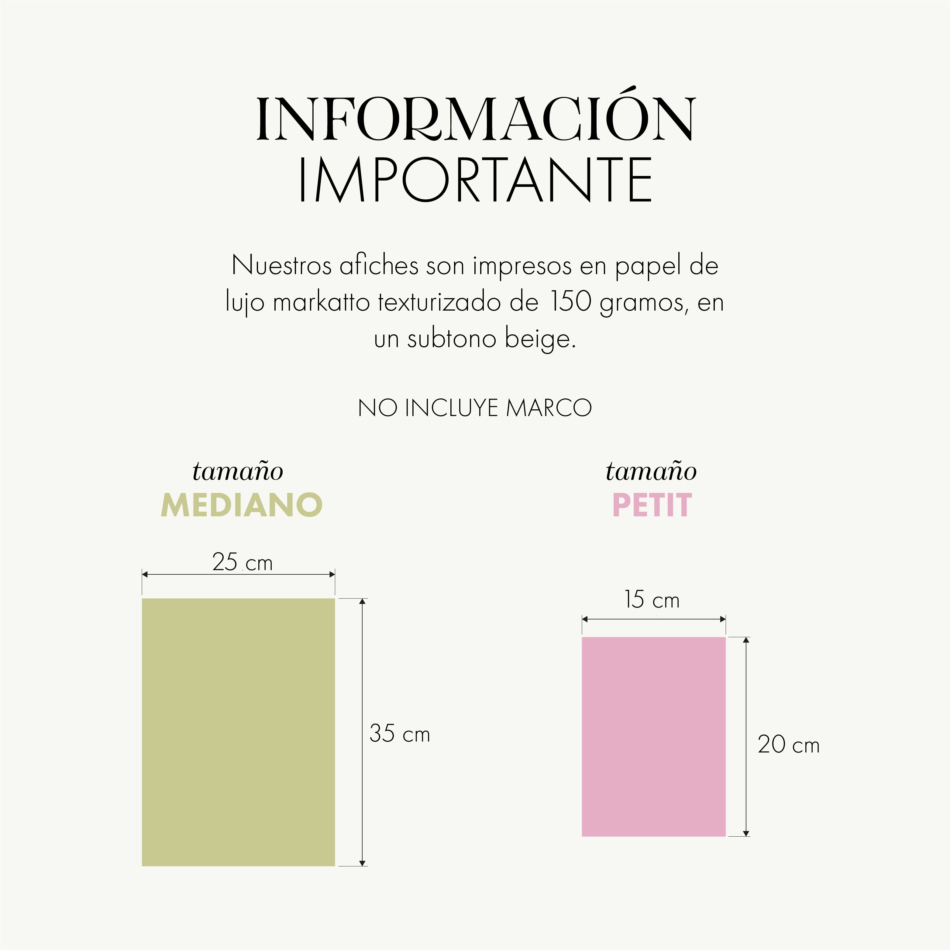 Afiche Mapa Orquídeas de Colombia