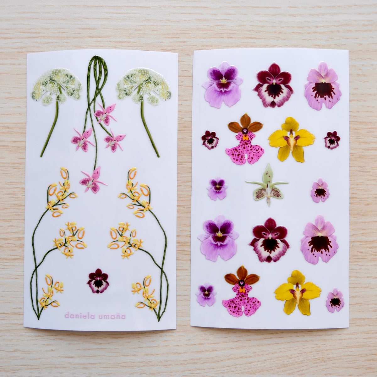 #diseño_orquídeas