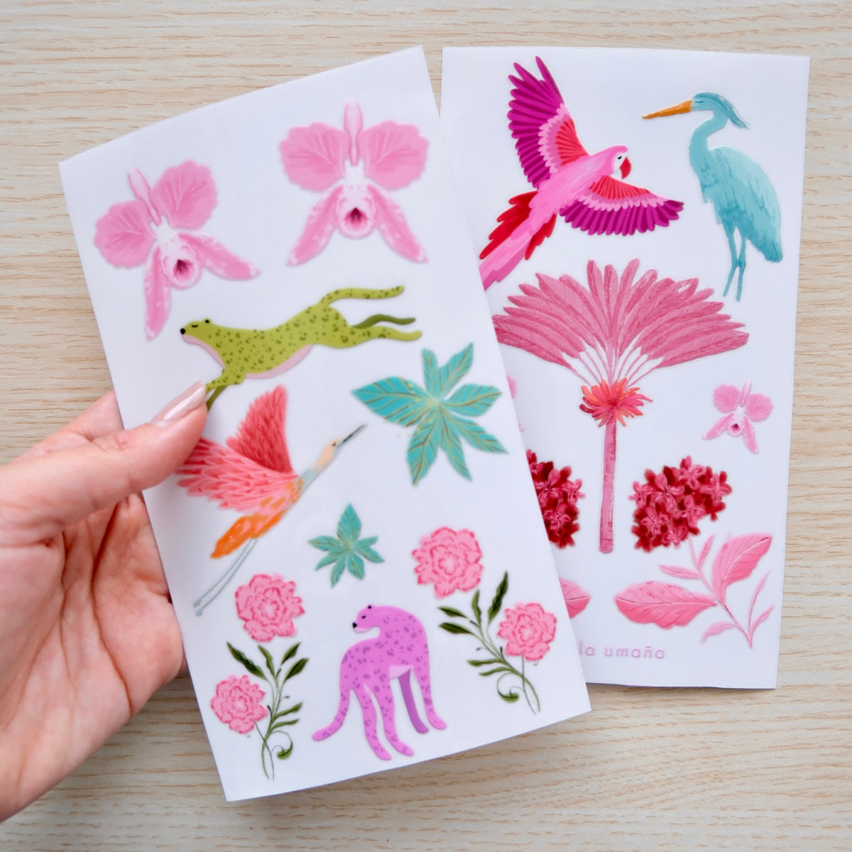 #diseño_fauna y flora