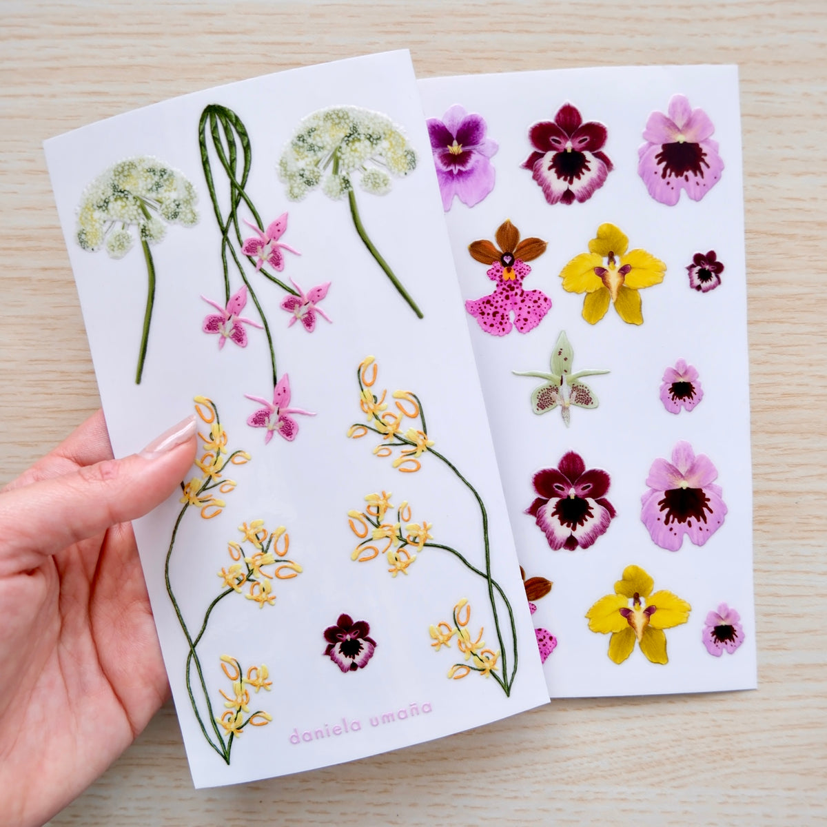 #diseño_orquídeas