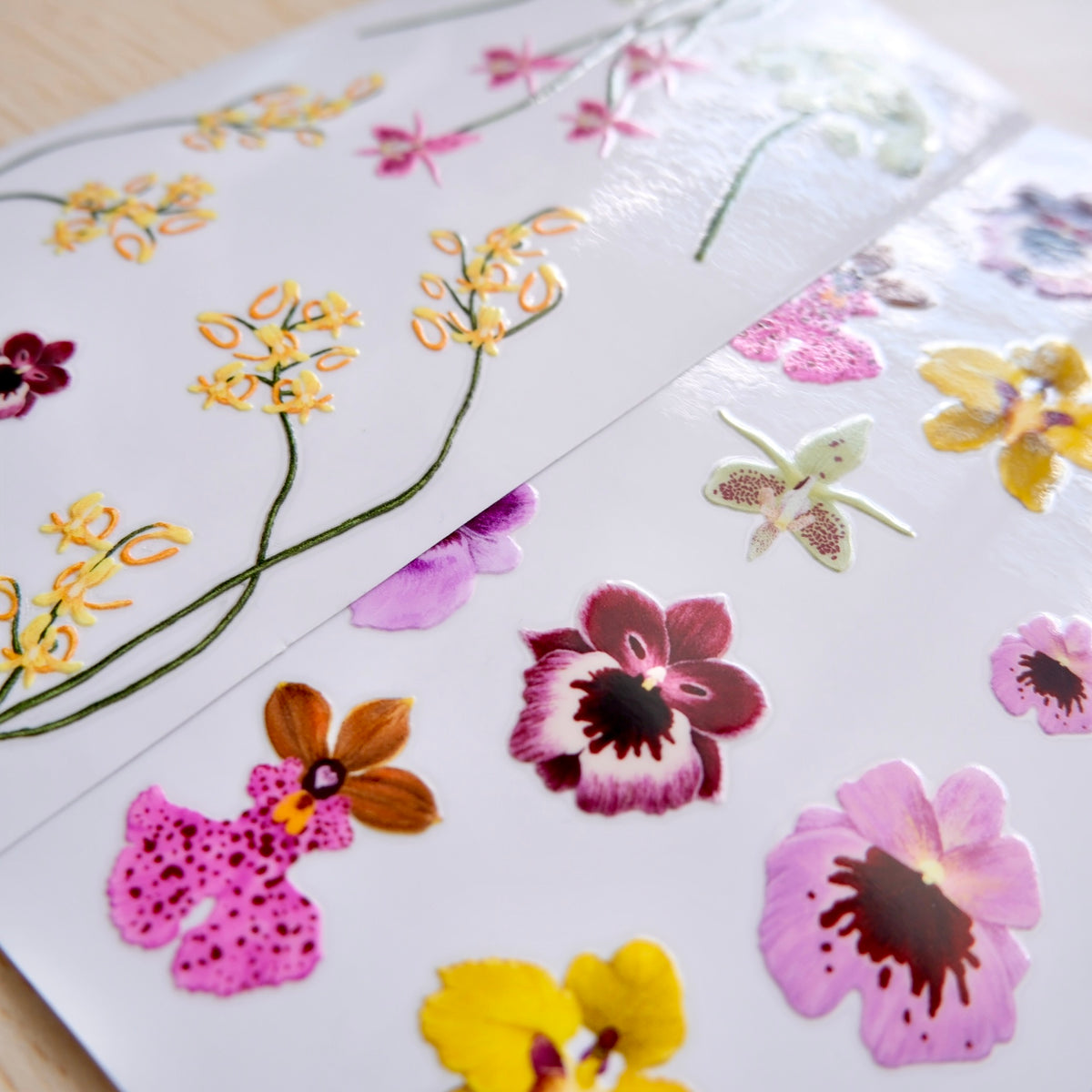 #diseño_orquídeas